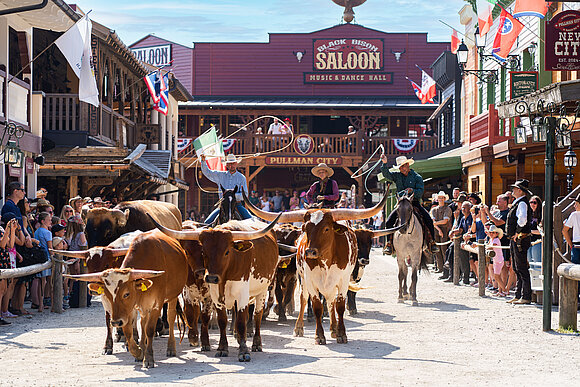 Rindertrieb in der Main Street in Pullman City